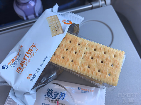 【Zhi的飞行报告⑦】鲁雁行，山航情：SC8859济南遥墙—银川河东（TNA-INC）