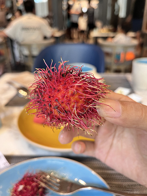 雪儿妹妹，勇闯天涯（2）——曼谷素坤逸20号/苏坤20号万怡：出差党的泰式快充站