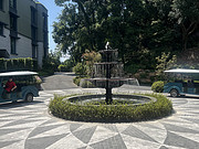 ˮ֪ľ-Զ<em></em>