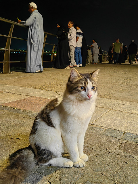 白袍拂过金樽影，红海潮生琉璃厅-行政海景单卧套房@The Ritz-Carlton, Jeddah