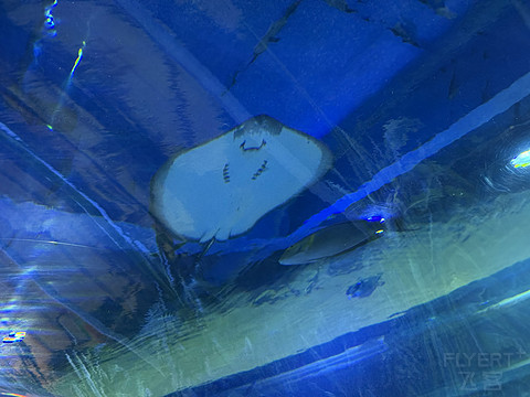再访➟ ➠ ➤ 金城