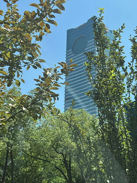 Ƶضһʮ