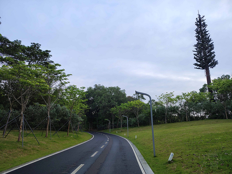 1620502N7TQ3IXOfhDhs2H.jpg