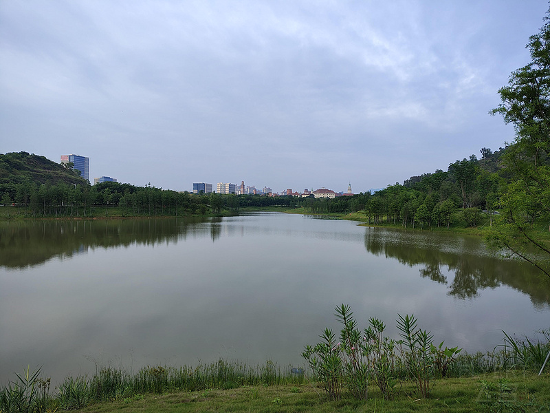162050Q3qcbfpikPththeb.jpg