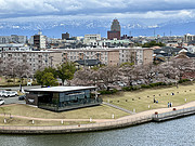 ձɽ<em>ϣ</em>Ƶס Toyama DT