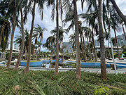 <em>ɽ뵺޼</em>ʵ<em></em>Ƶɹˡ