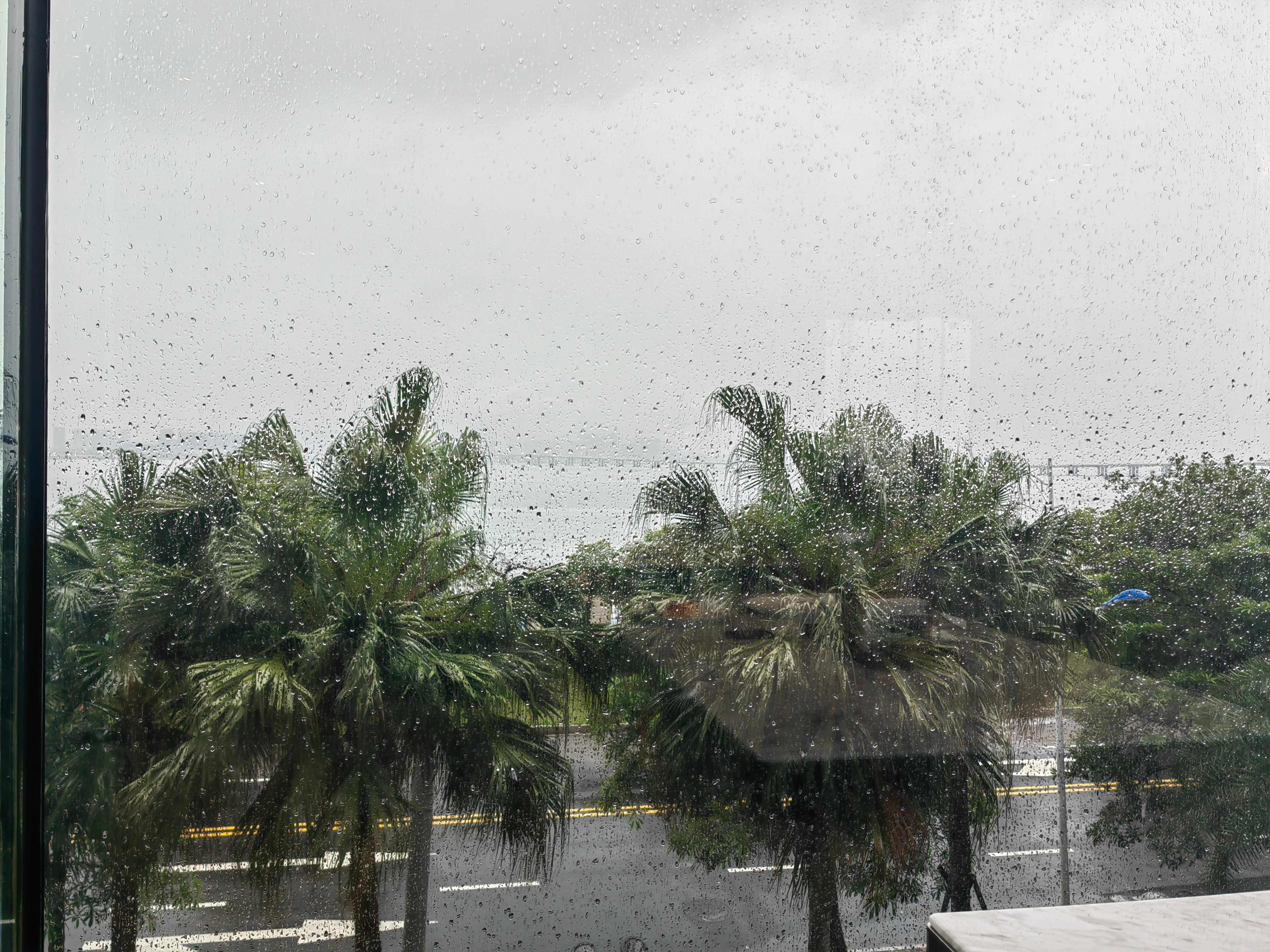 ȷܵĩ˵ɲ@Courtyard by Marriott Xiamen
