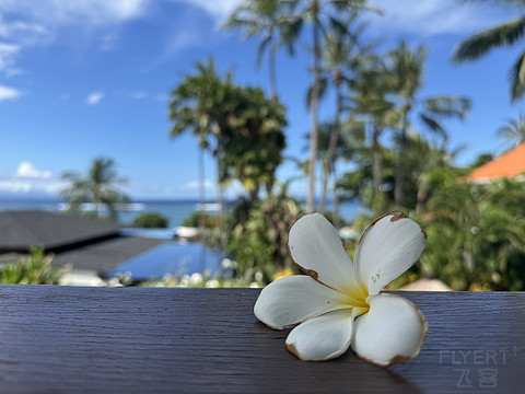 179巴厘岛努沙杜瓦拉古娜豪华精选水疗度假酒店/The Laguna,a Luxury Collection bali