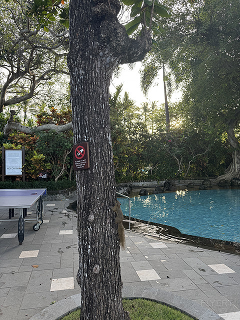 179巴厘岛努沙杜瓦拉古娜豪华精选水疗度假酒店/The Laguna,a Luxury Collection bali
