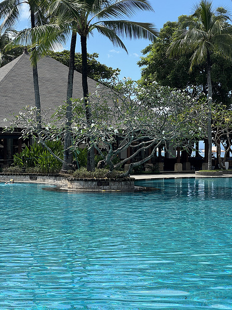 179巴厘岛努沙杜瓦拉古娜豪华精选水疗度假酒店/The Laguna,a Luxury Collection bali