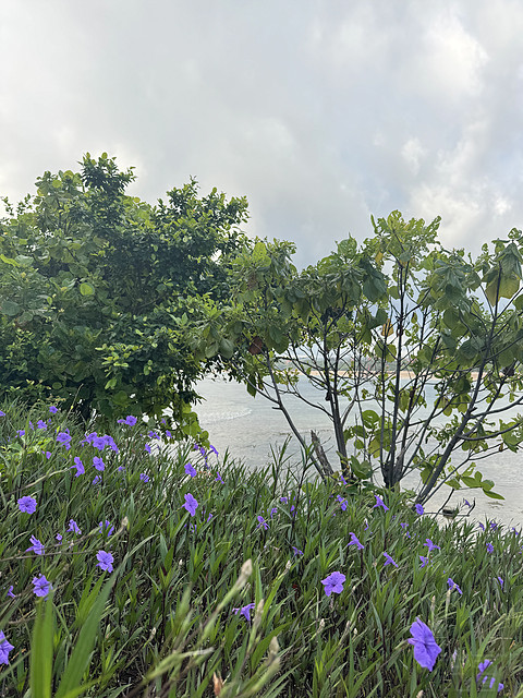 179巴厘岛努沙杜瓦拉古娜豪华精选水疗度假酒店/The Laguna,a Luxury Collection bali