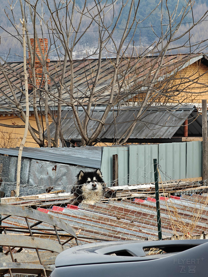 201307SPCB0n9Uzvpfkrc0.jpg