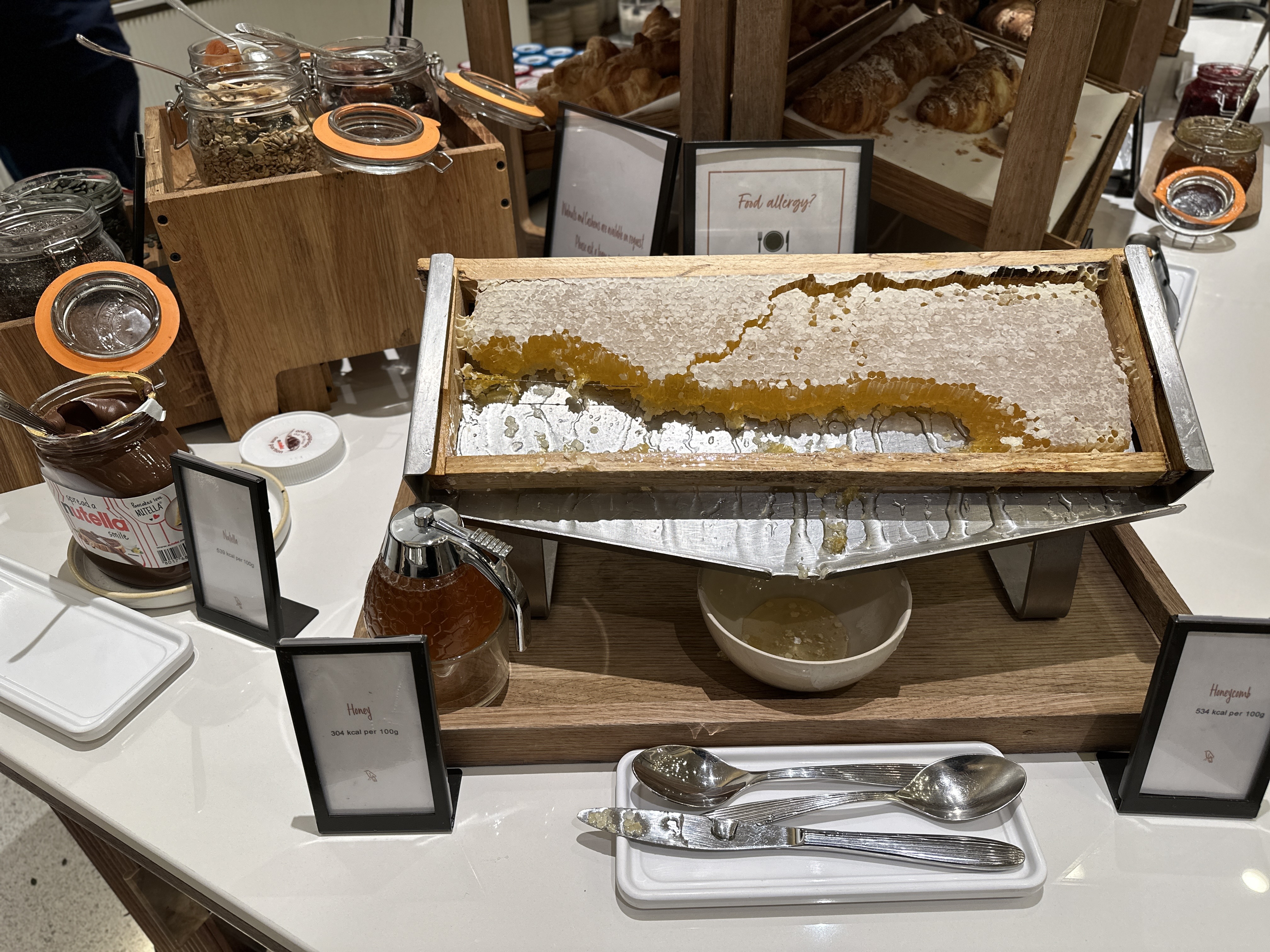 Ӣ׶ع԰ϣס London Hilton on Park Lane