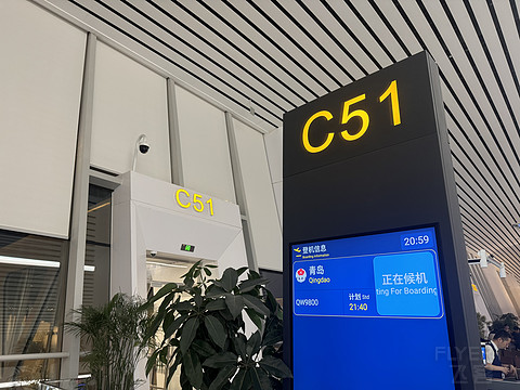 风中的耐冬花|青岛航空香港线QW9895飞行体验