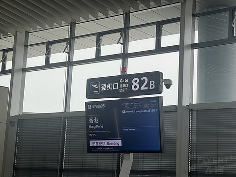 风中的耐冬花|青岛航空香港线QW9895飞行体验