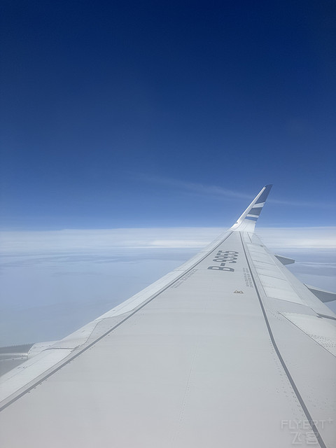 风中的耐冬花|青岛航空香港线QW9895飞行体验