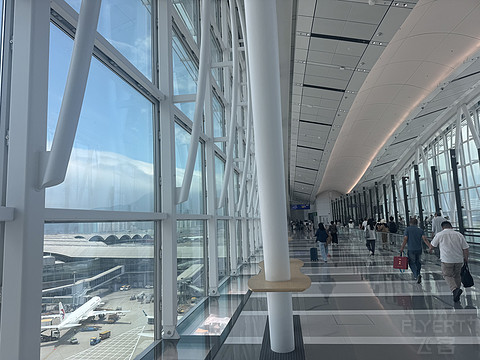风中的耐冬花|青岛航空香港线QW9895飞行体验