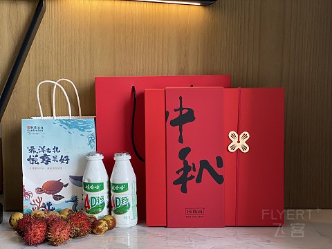 初代花园品牌旗舰｜三亚希尔顿花园酒店