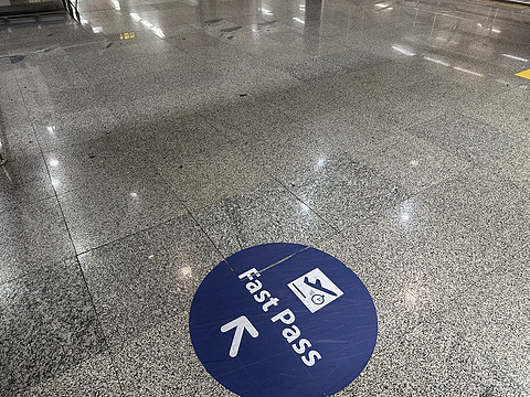 飞跃半个地球 巴西回国记 里约-北京 上篇 | 荷兰皇家航空 KL706 商务舱 GIG-AMS