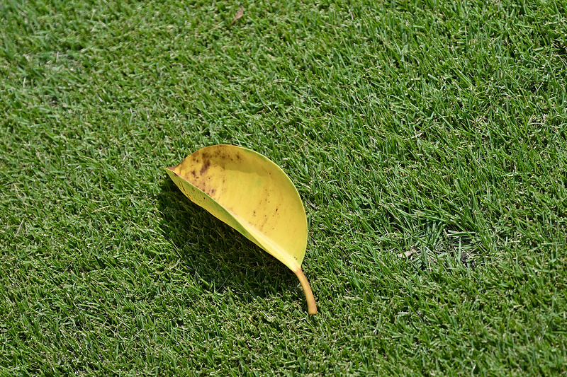 105132QFDDKBATUADMKYTK.png 105132QFDDKBATUADMKYTK.png