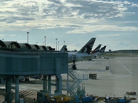 QR817｜Qatar Airways HKG-DOH Business Class｜B77W