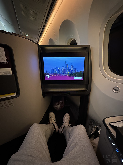 QR69｜Qatar Airways DOH-FRA Business Class｜B789
