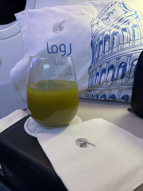 QR69｜Qatar Airways DOH-FRA Business Class｜B789