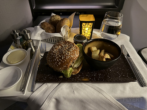 QR69｜Qatar Airways DOH-FRA Business Class｜B789