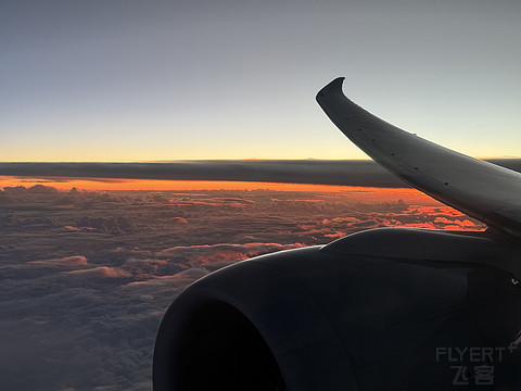 QR69｜Qatar Airways DOH-FRA Business Class｜B789