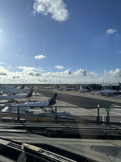 QR69｜Qatar Airways DOH-FRA Business Class｜B789