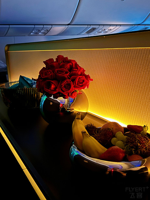 QR69｜Qatar Airways DOH-FRA Business Class｜B789