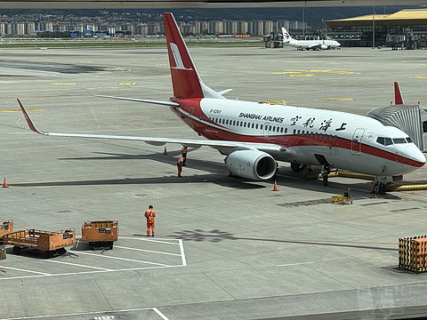 上航家的“小个子”｜上航FM9454 KMG-SHA B737-700公务舱体验