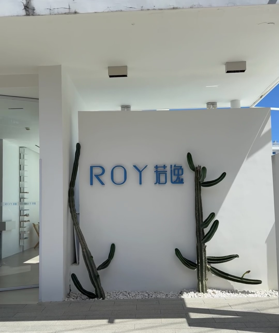 ѩã´ģ11ROYߵıȼ