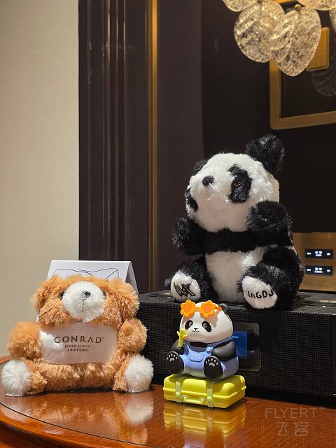 在时钟下相见｜成都华尔道夫酒店双子塔景观房体验