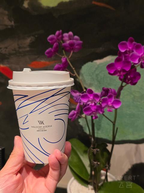 在时钟下相见｜成都华尔道夫酒店双子塔景观房体验