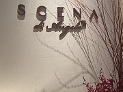 ֶ˼scena<em></em>