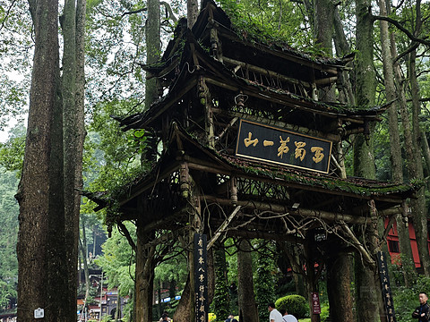 青城山尊酒店 绿意环绕享清幽