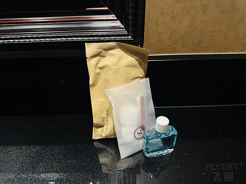 风城周边的静谧小镇 | Sheraton Lisle Naperville 行政房型入住简报
