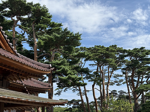 初めて日本に来た旅行小记