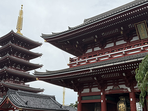 初めて日本に来た旅行小记