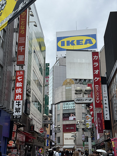 初めて日本に来た旅行小记