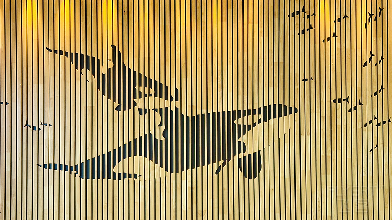 175646CXYNIUUKZGXJKYFW.png