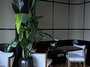 <em></em>/51/