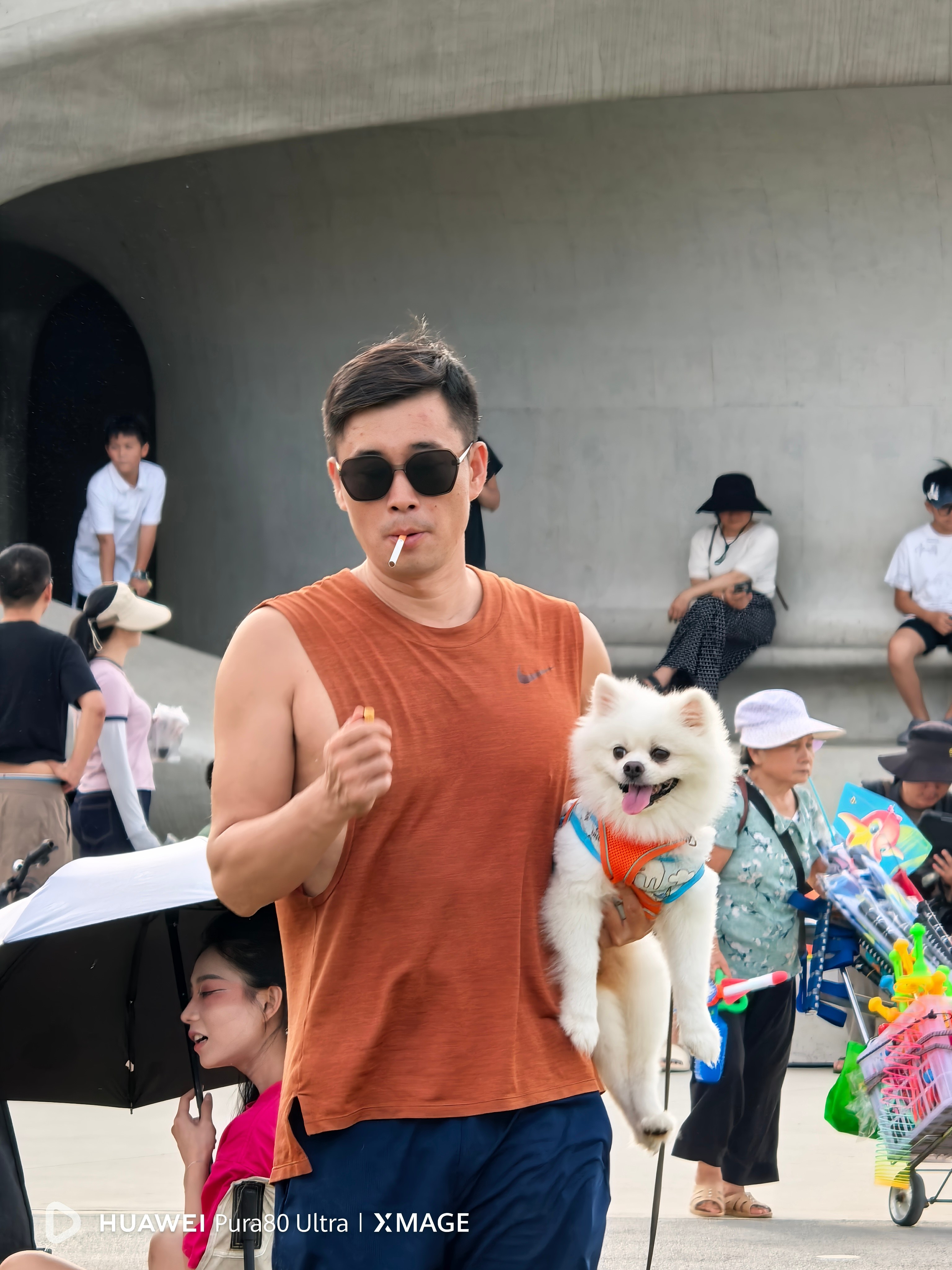 ѡ顢ɳڵĳУµһʼںϣپƵ꣬乫Ԣ׷