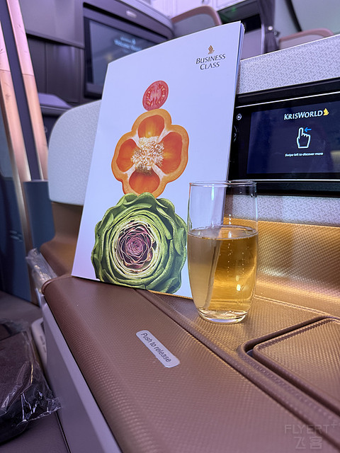 新航商务舱｜打卡世界第一万架空客飞机 飞行报告