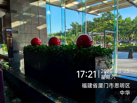 厦门瑞颐-鼓浪屿对岸的凭栏观海