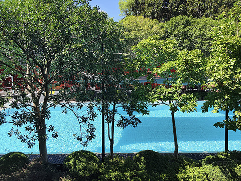 海派回响｜上海证大美爵酒店｜豪华套房