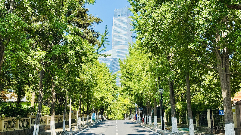 164308SINOOTUMLWMWVNKR.png