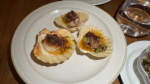 （可能是）马代SO/最低成本的入住·马尔代夫SO/淡季休闲体验