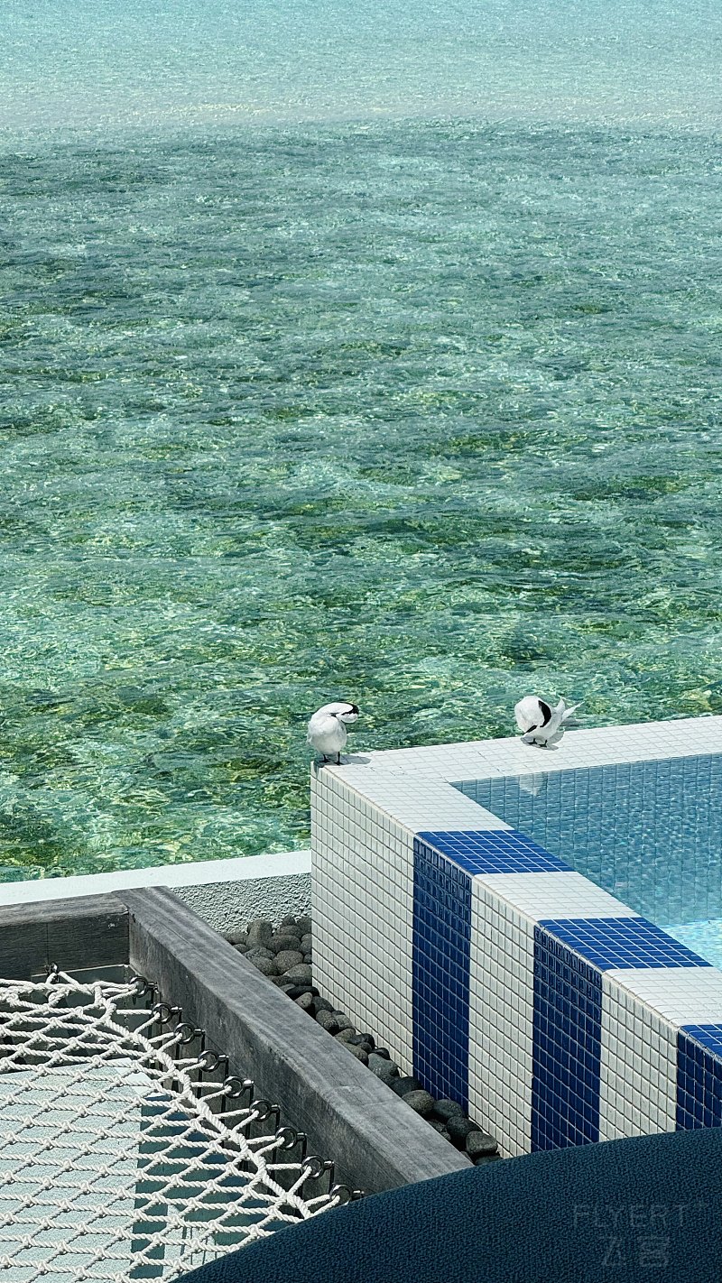 113920PPRYOYUJIZIOHVBL.png